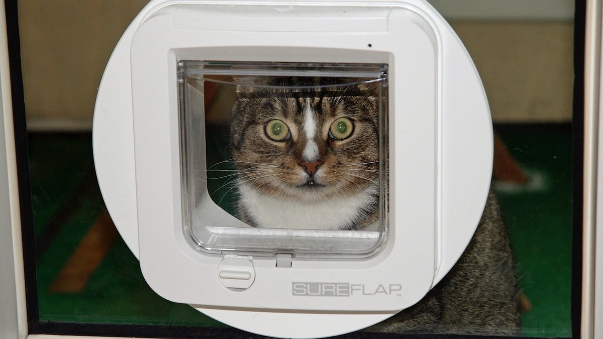 AI device 2