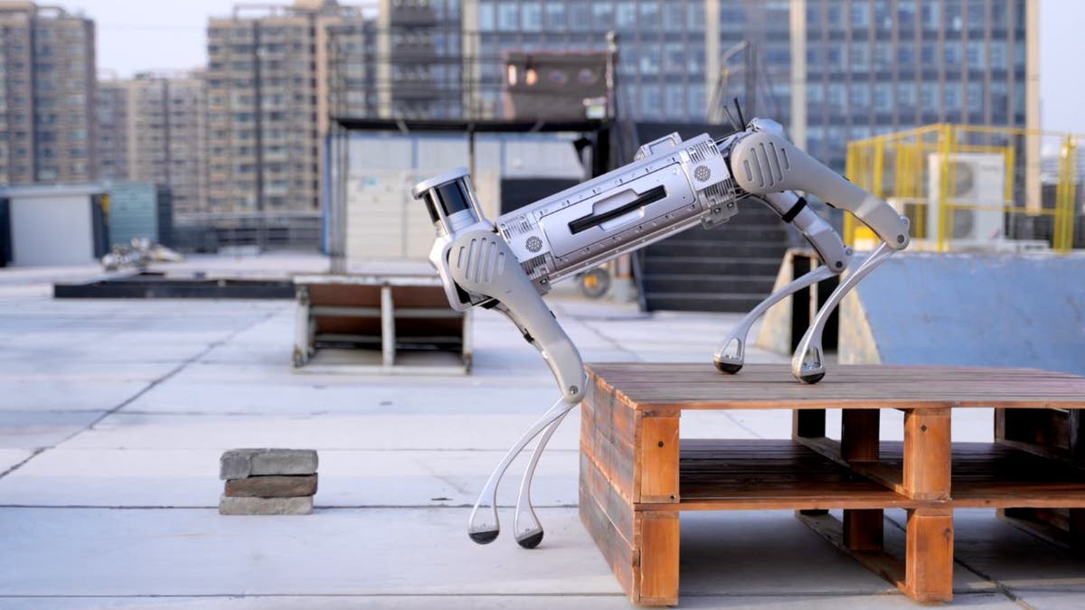 robot dog 2