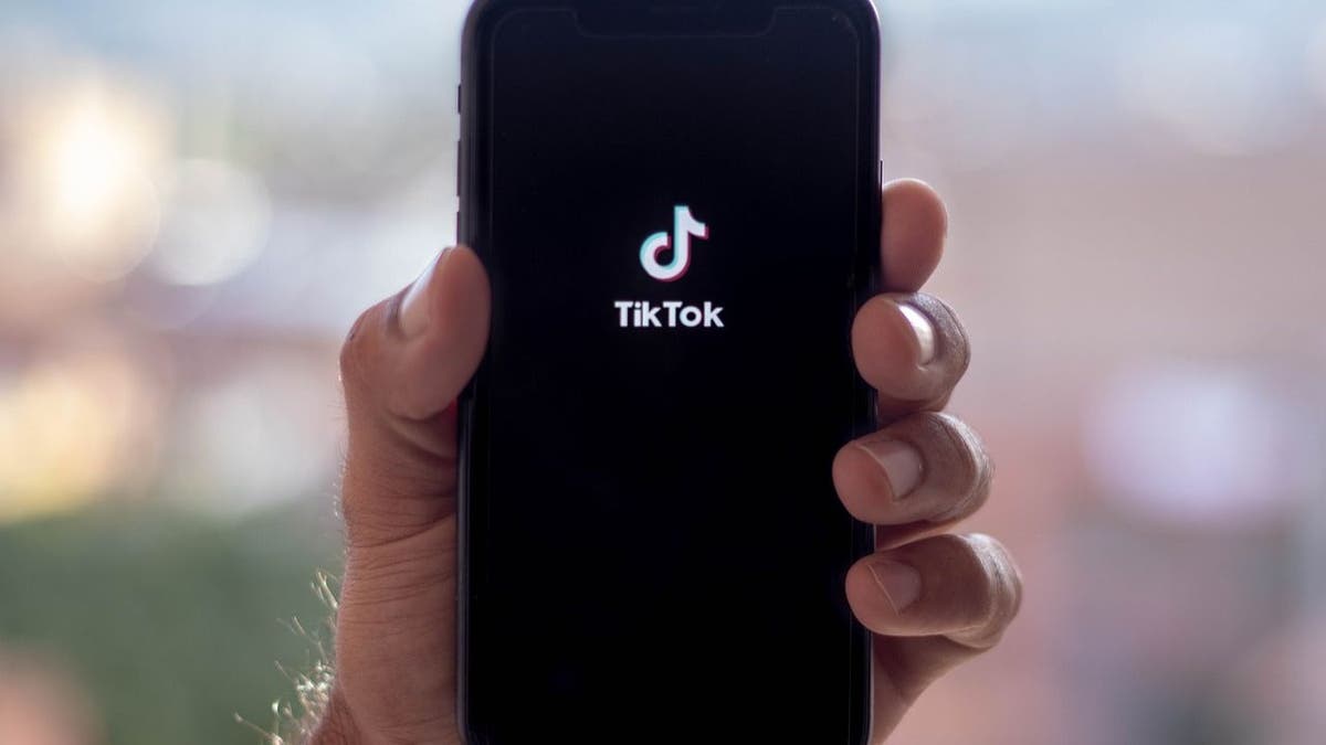 tiktok removal 2