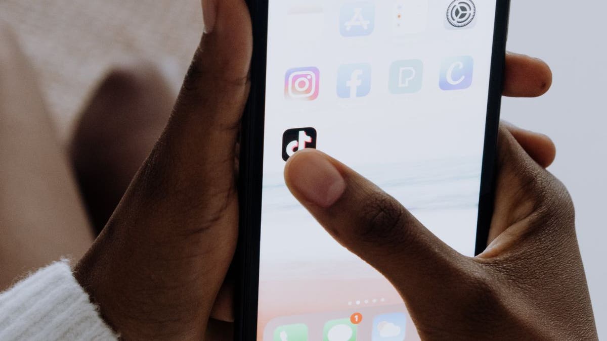 Tiktok removal 4