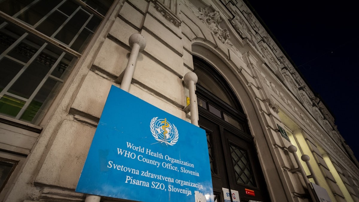 Is mpox the next COVID? Infectious disease experts address pandemic potential