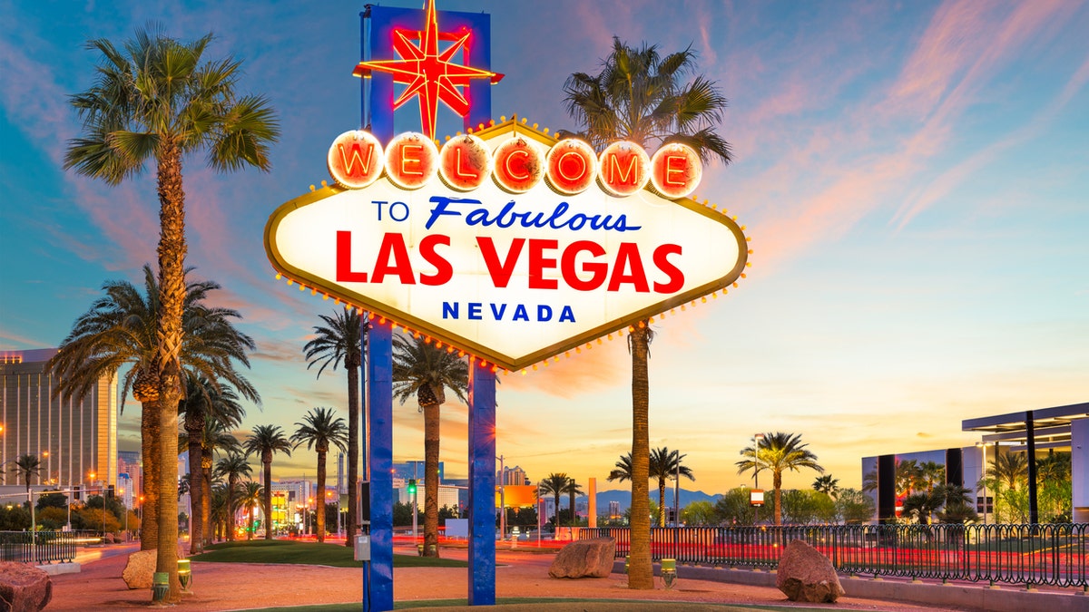 Bedbug 'massacre' at Las Vegas hotels leads to multiple lawsuits from guests with 'injuries'