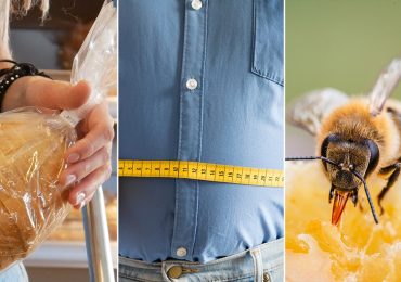Breads to avoid and body fat warnings, plus dangers of bee stings