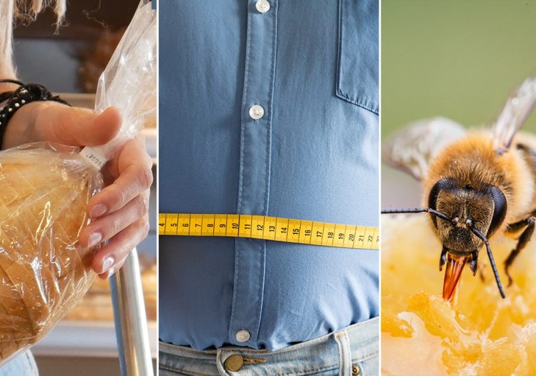 Breads to avoid and body fat warnings, plus dangers of bee stings
