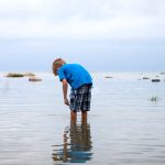 Death confirmed from rare and deadly ‘brain-eating amoeba’ in southern lake
