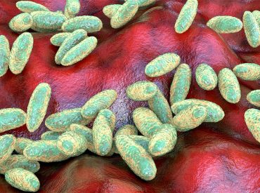 California resident contracts plague, likely from infected flea bite during Lake Tahoe camping trip: officials