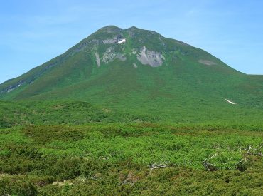 Hiker's friend watches in horror as brown bear drags man into bushes on mountain: report