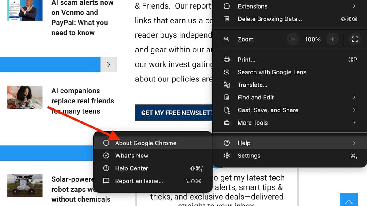 Screenshot of a Google Chrome menu