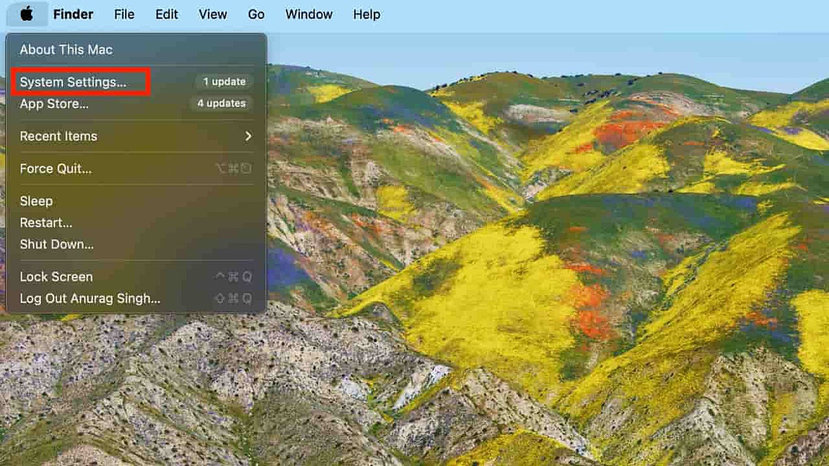 Screenshot showing steps to enable automatic update