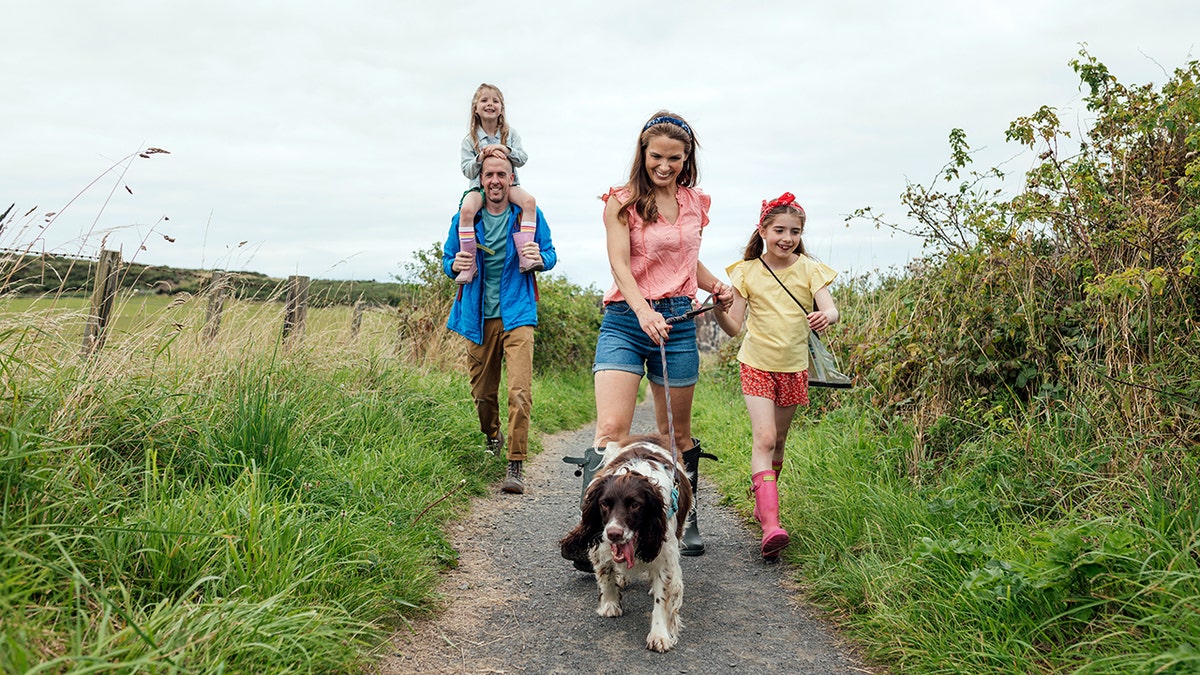 Gentle walking and stretching help regulate blood sugar and improve circulation without strain