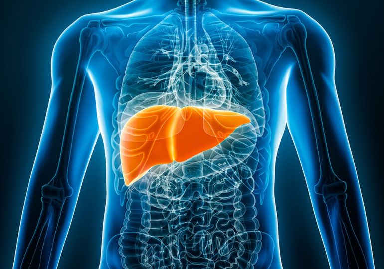 Hepatitis B in the spotlight: What to know about the viral infection