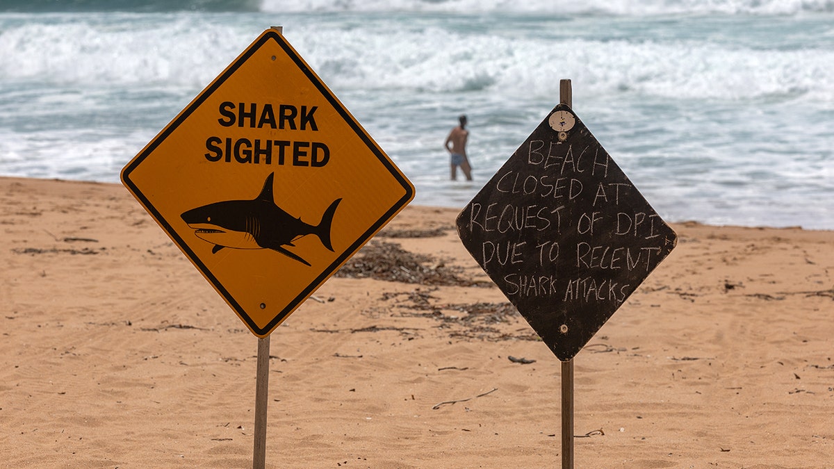shark sighted sign Sydney