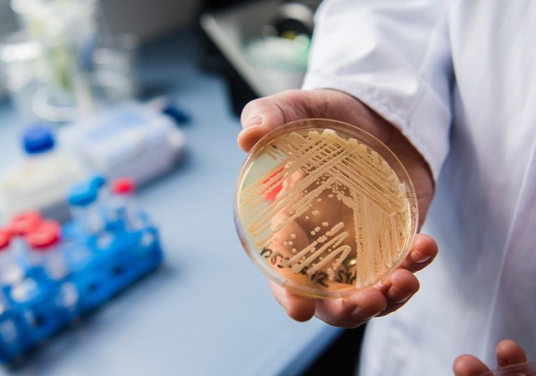 Deadly 'superbug' is spreading across US as drug resistance grows, researchers warn