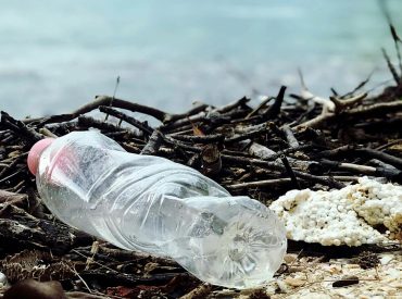 Plastic bottles could power your devices one day