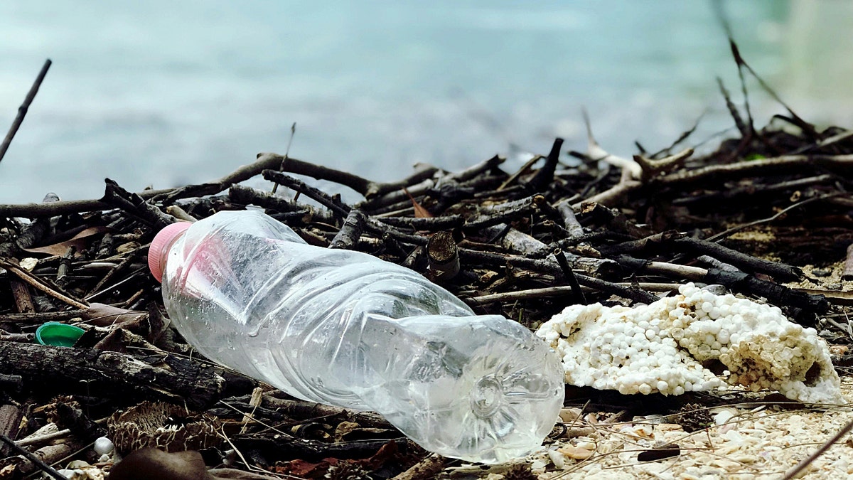 A discarded plastic bottle on a river bank