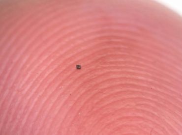 Tiny autonomous robots can now swim on their own