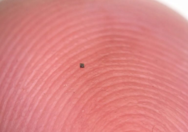 Tiny autonomous robots can now swim on their own