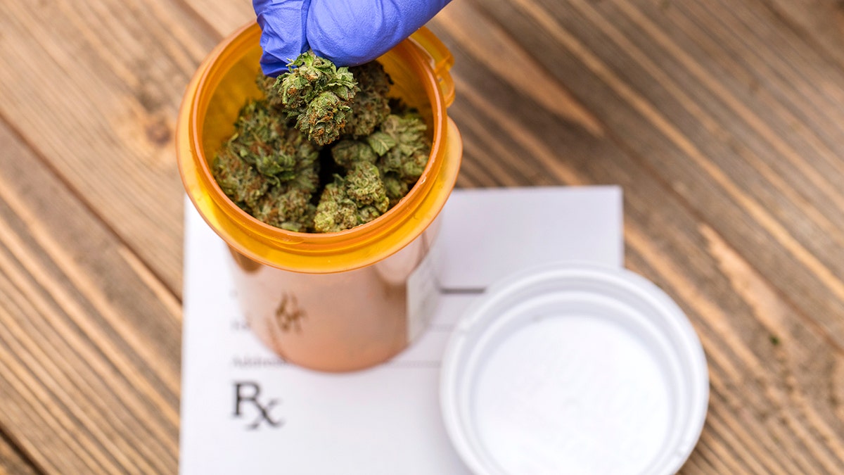 A stock photo of some Medical Marijuana Buds.