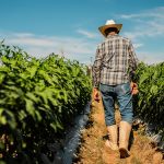 Parkinson’s risk increases with exposure to common chemical, study suggests