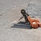 Punch the monkey, viral star, experiences dramatic breakthrough among zoo mates