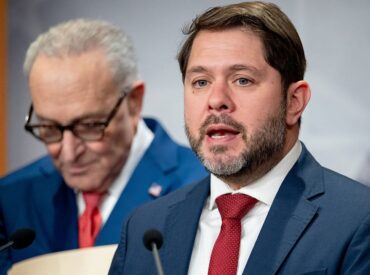 Dem senator ripped for 'smear' of female activist advocating for Swalwell's accusers: 'Very bad look'