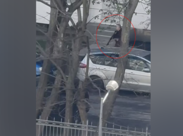 Moscow-born gunman dead after Kyiv shooting rampage leaves at least 6 dead, 14 wounded: Zelenskyy