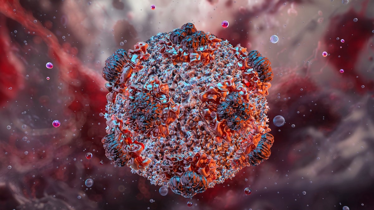3D illustration of hantavirus structure showing viral particles