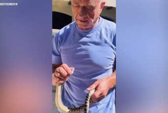 RFK Jr. responds to snake-handling critics with new video showing him wrangling a venomous rattlesnake