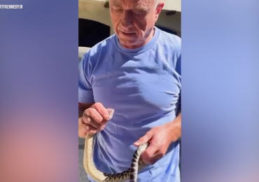 RFK Jr. responds to snake-handling critics with new video showing him wrangling a venomous rattlesnake