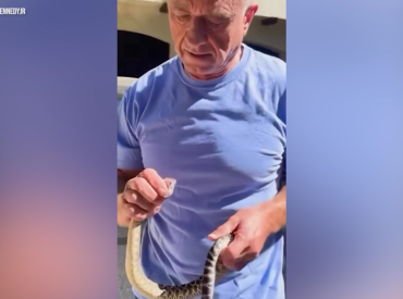 RFK Jr. responds to snake-handling critics with new video showing him wrangling a venomous rattlesnake
