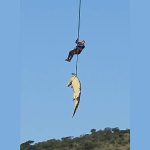 South African police airlift massive crocodile suspected of eating missing local