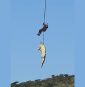 South African police airlift massive crocodile suspected of eating missing local