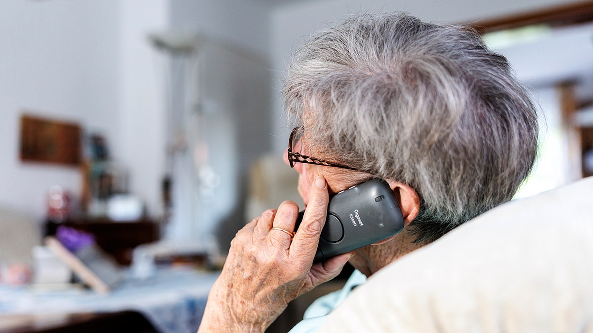 AI voice scams can clone your family’s voice