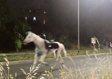 Fireworks reportedly trigger mass horse stampede through Rome streets, injuring several soldiers