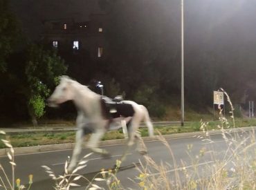 Fireworks reportedly trigger mass horse stampede through Rome streets, injuring several soldiers