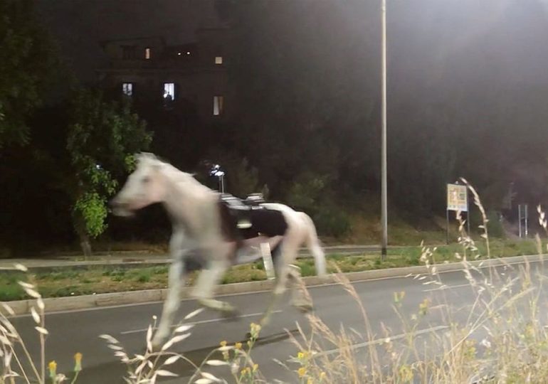 Fireworks reportedly trigger mass horse stampede through Rome streets, injuring several soldiers