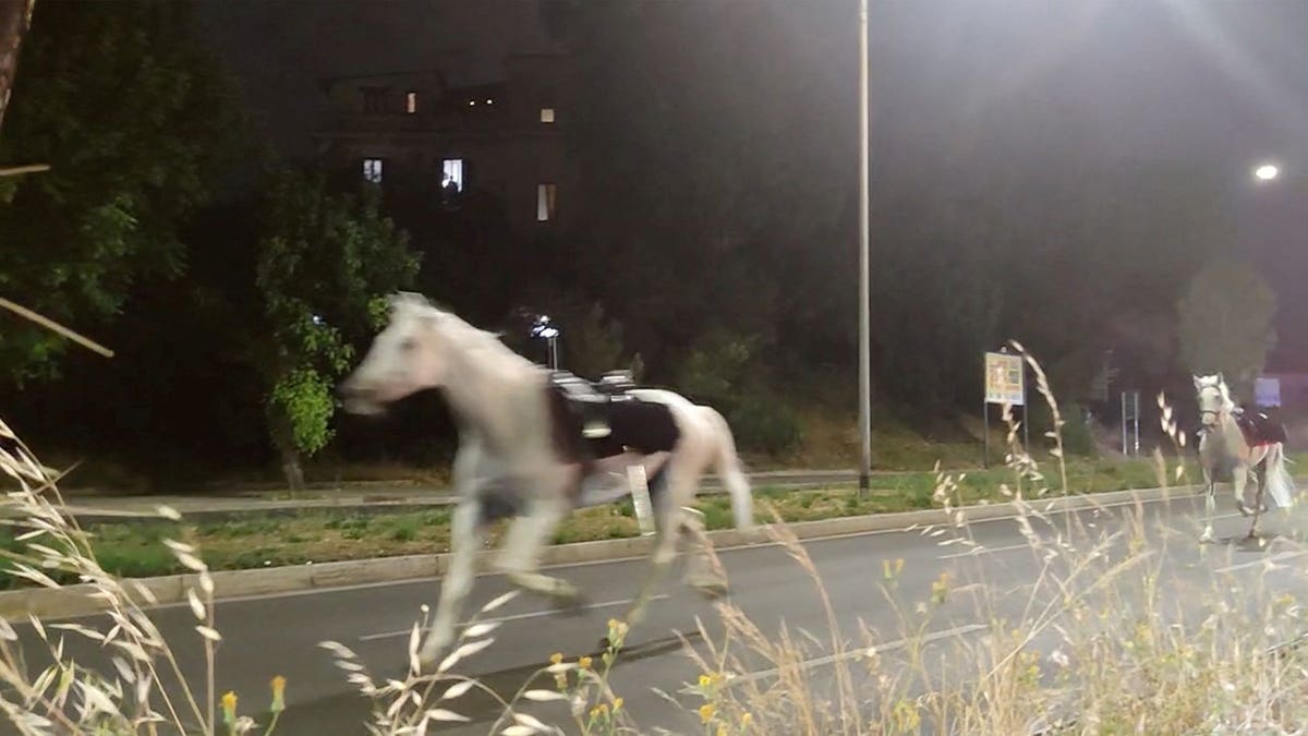 Fireworks reportedly trigger mass horse stampede through Rome streets, injuring several soldiers