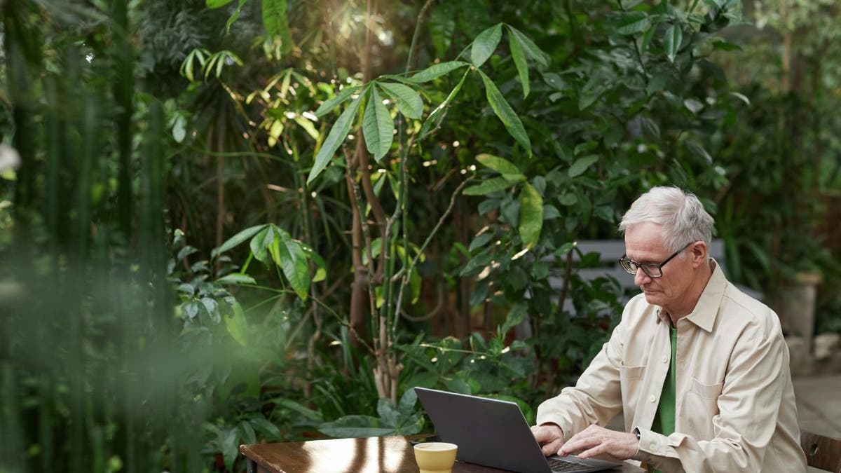 An elderly man using a laptop.