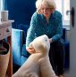 Robot pets with AI could soon live with you
