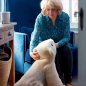 Robot pets with AI could soon live with you