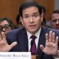 Rubio torches Democrat after bizarre hearing questions about his shoes: ‘Is this a circus?’