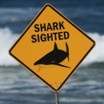 Spearfisherman killed by suspected 15-foot shark after third fatal attack in less than a month