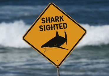 Spearfisherman killed by suspected 15-foot shark after third fatal attack in less than a month