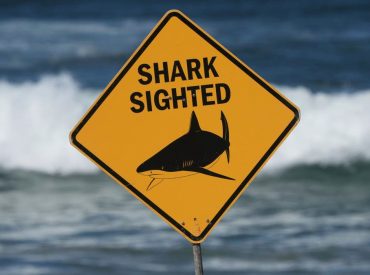 Spearfisherman killed by suspected 15-foot shark after third fatal attack in less than a month