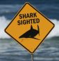 Spearfisherman killed by suspected 15-foot shark after third fatal attack in less than a month