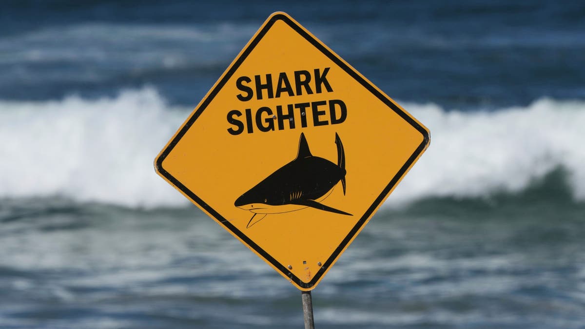 Spearfisherman killed by suspected 15-foot shark after third fatal attack in less than a month