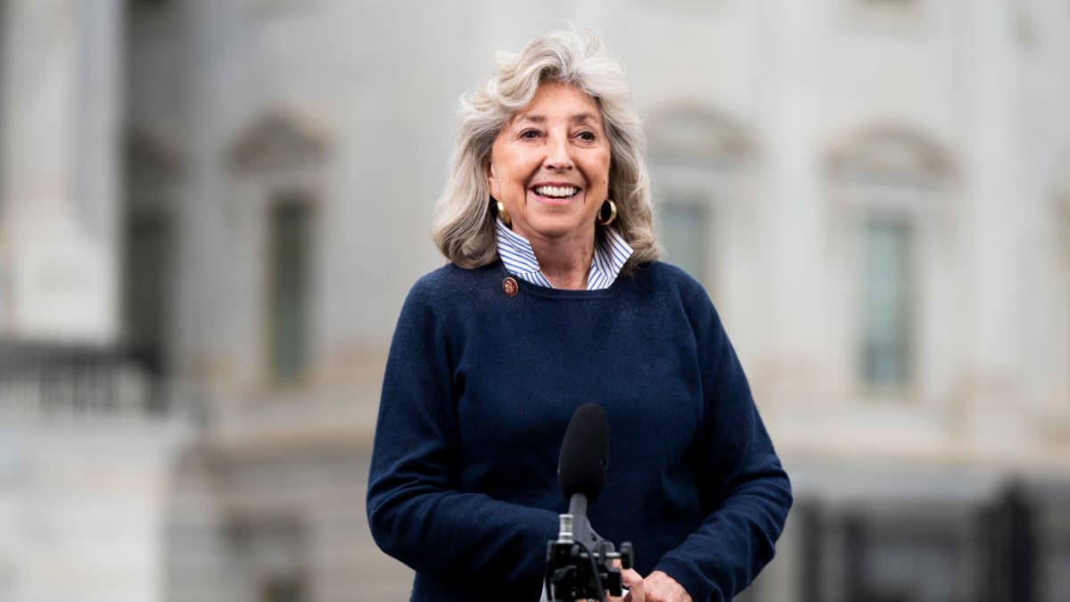 Rep. Dina Titus speaking during a TV interview outside the U.S. Capitol