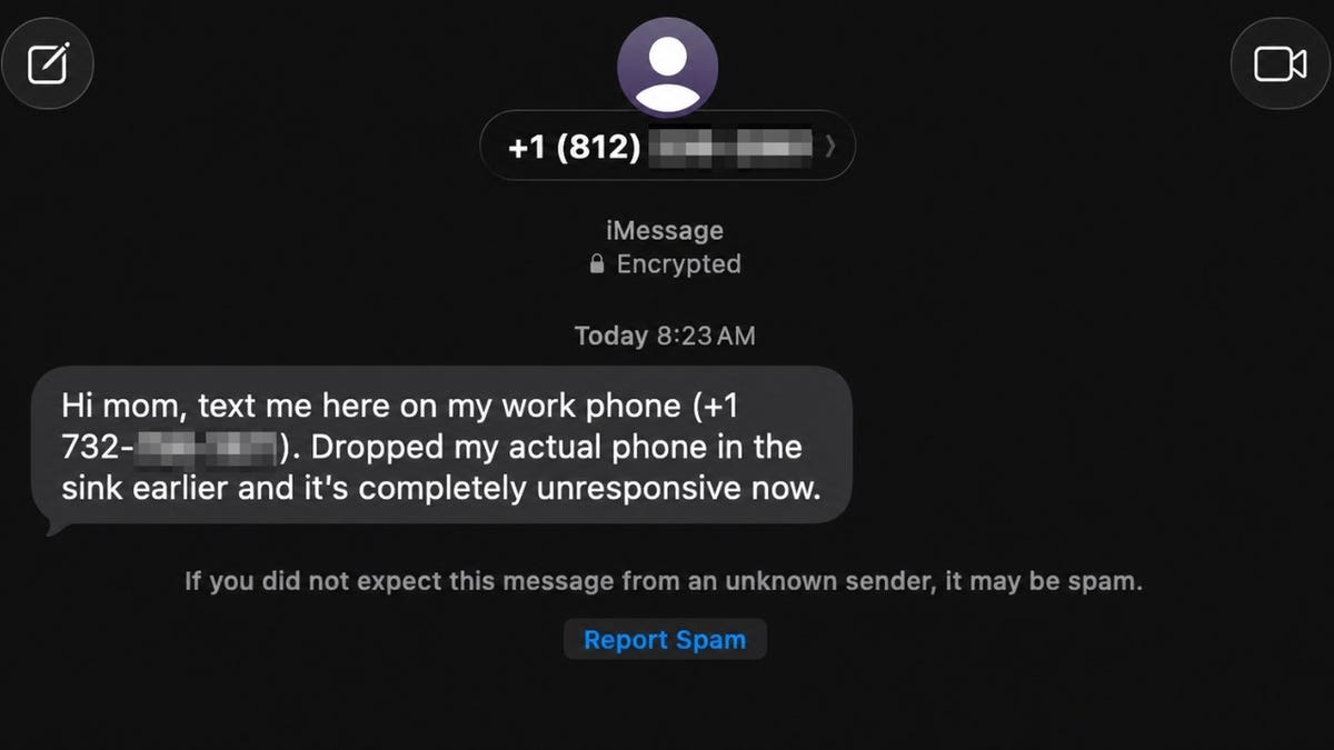 Hi Mom text scam: How to spot fake emergency texts