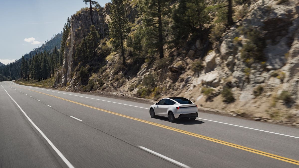 Telsa Model Y