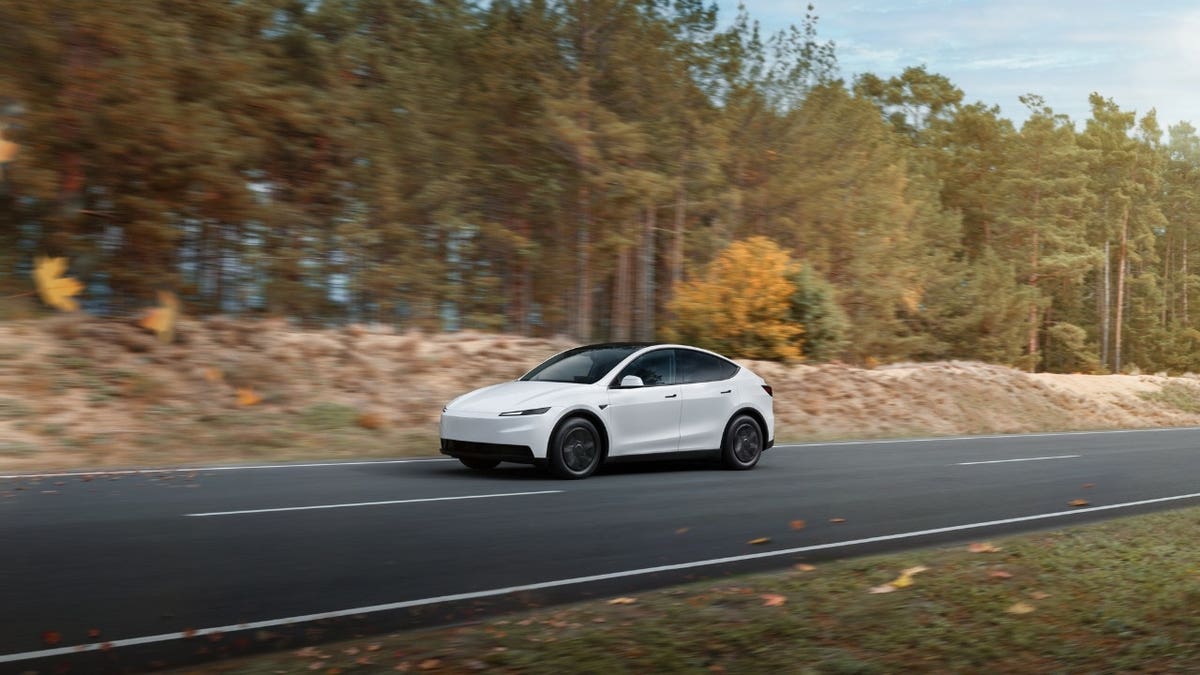Telsa Model Y